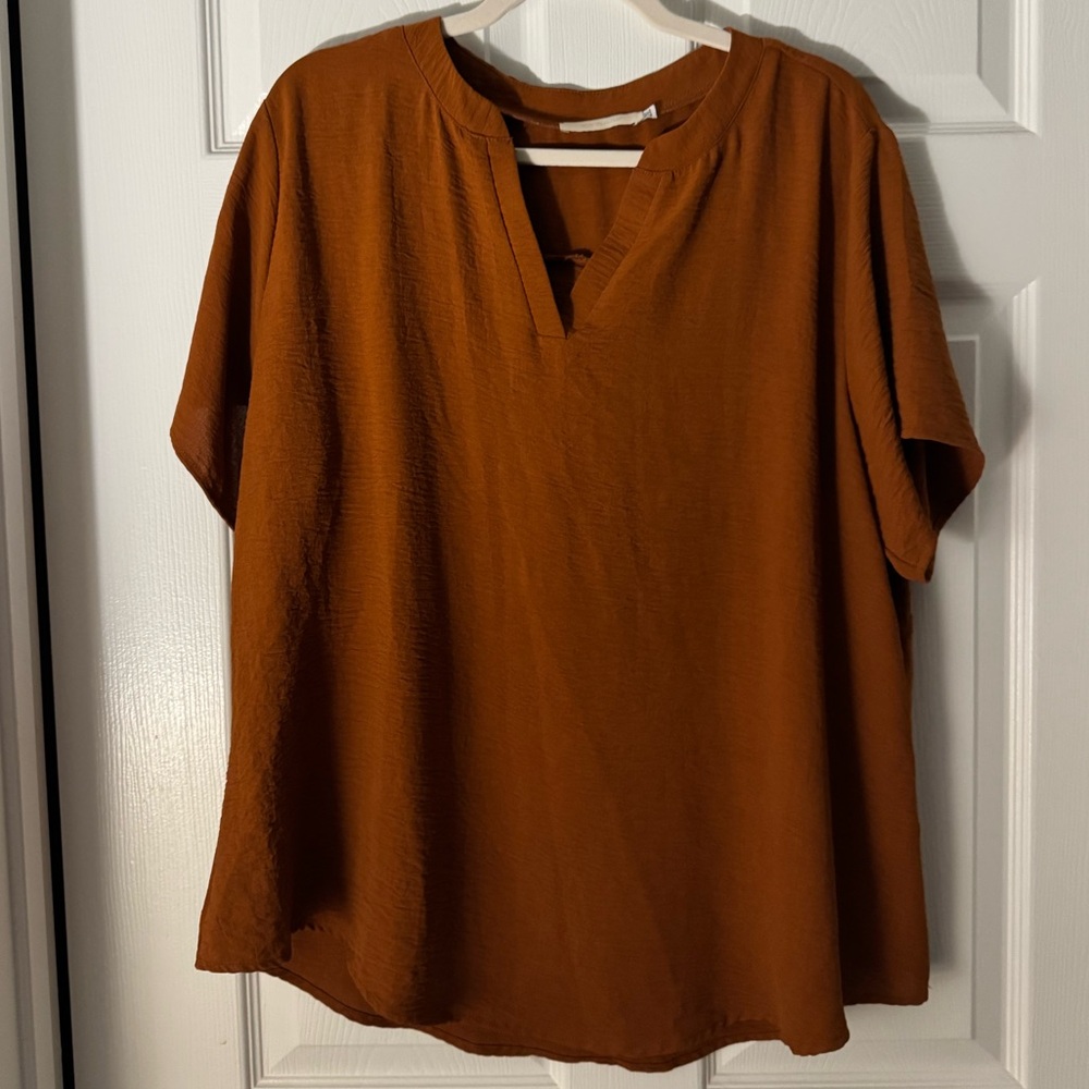 Women's Brown V-Neck Top